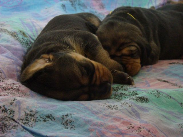 DSC05523.JPG