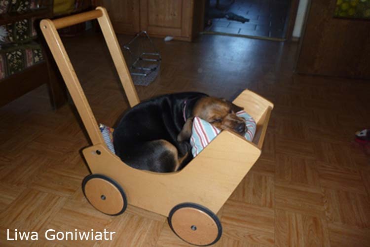 Puppenwagen_2.jpg