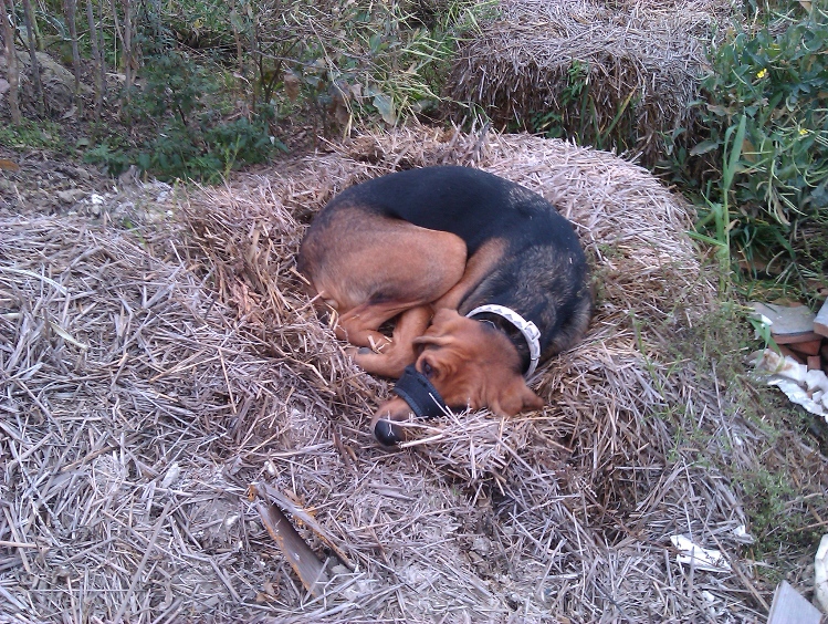 IMAG0110.jpg