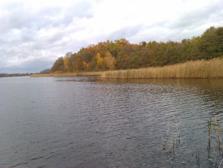 IMAG0143.jpg
