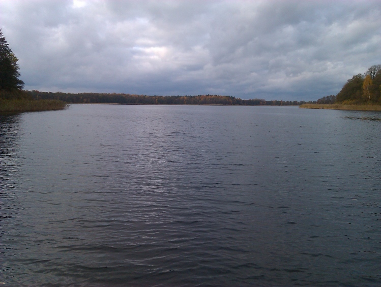 IMAG0144.jpg