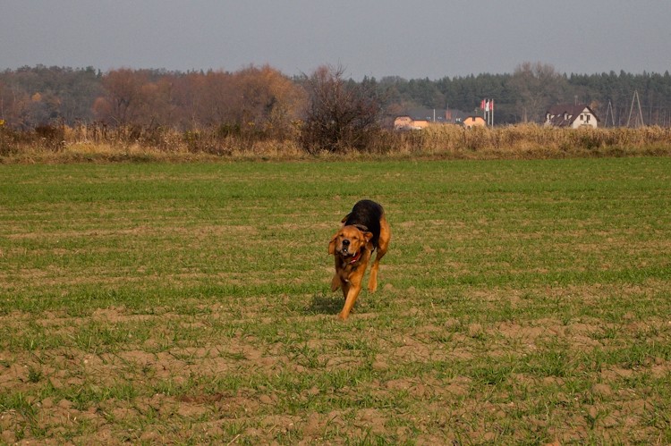 Ecia (1000 of 32).jpg