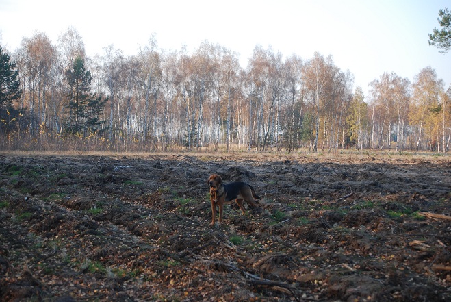 DSC_0924.JPG