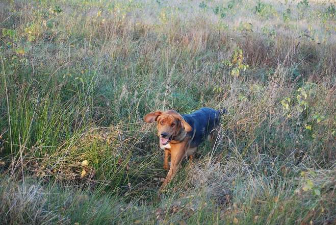 DSC_0941.JPG