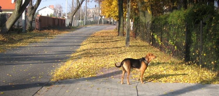 6.11.2011 001.jpg