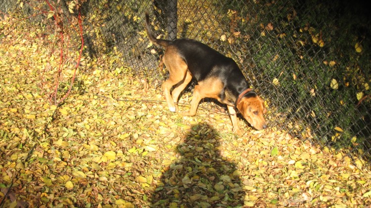 6.11.2011 003.jpg
