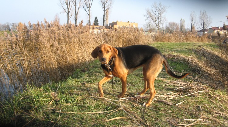6.11.2011 013.jpg