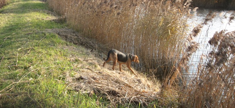 6.11.2011 015.jpg
