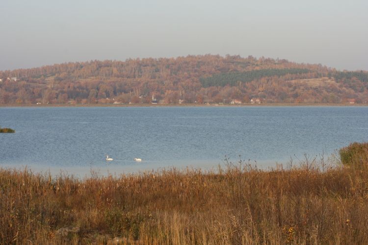 Ten tydzień był najpiękniejszy, teraz już wiele liści spadło i jest mniej uroczo.