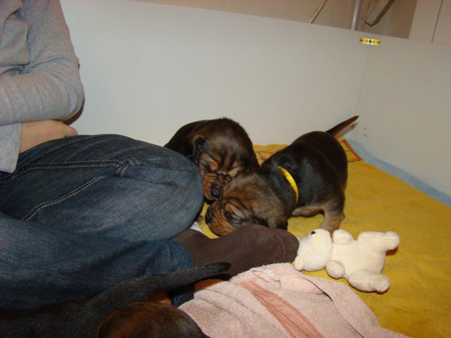 DSC05679.JPG
