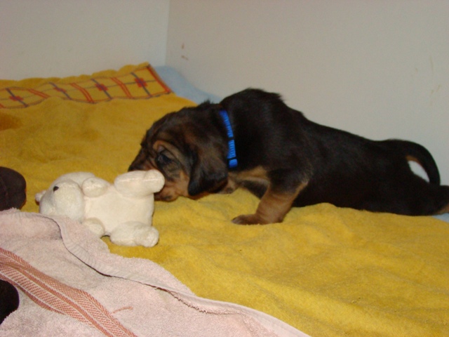 DSC05684.JPG