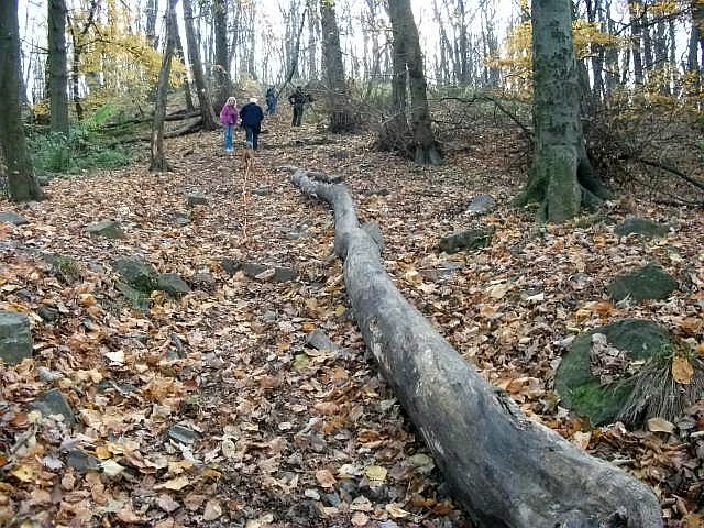 W końcu zaczął się bardzo oddalać, aż w końcu znikł mi z oczu.
