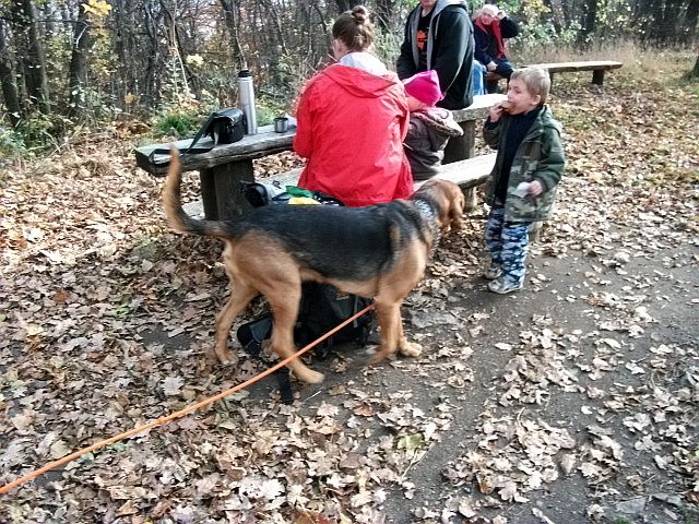 Ares wstał i zaczął się kręcić pomiędzy ludźmi. Najbardziej interesowali go ci, którzy mieli coś do jedzenia.