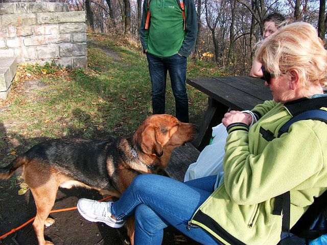 DSCF2462.JPG