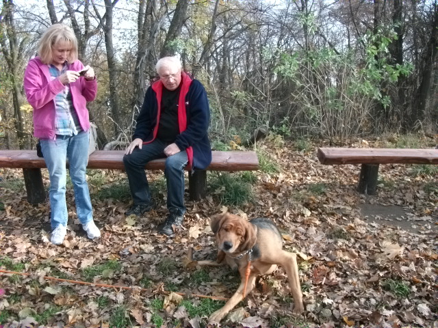 Wzbudzał ogólną sympatię, robiono też mu zdjęcia.