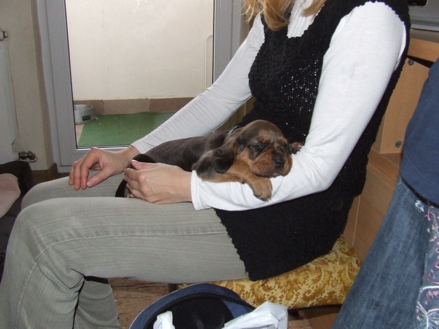 DSCF1970.JPG