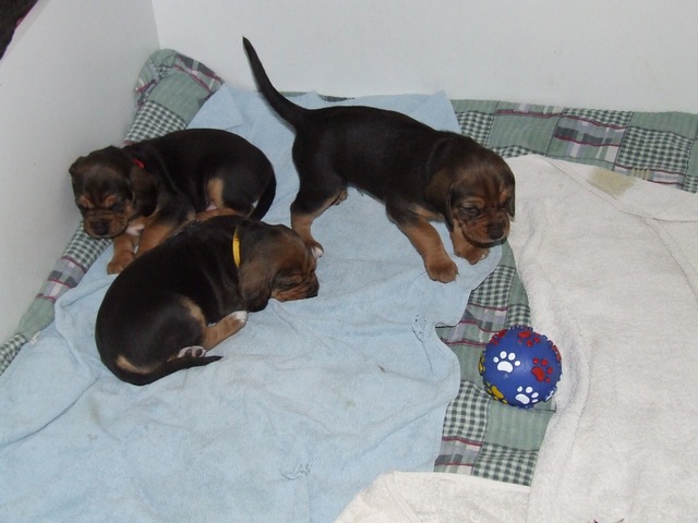 DSCF1967.JPG