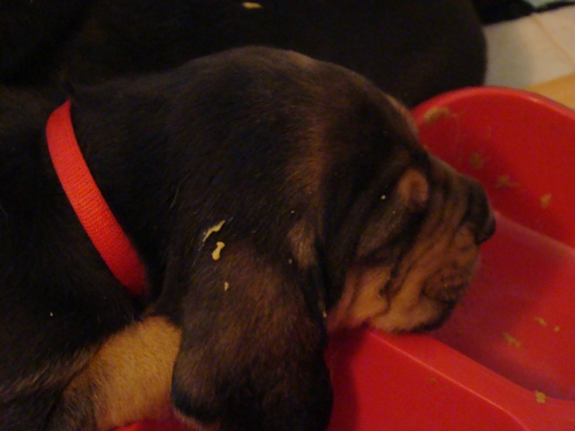 DSC06028.JPG