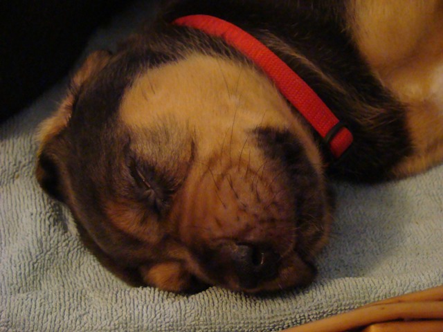 DSC06067.JPG
