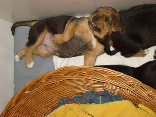 DSC06084.JPG