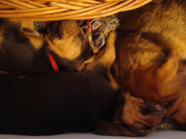 DSC06097.JPG