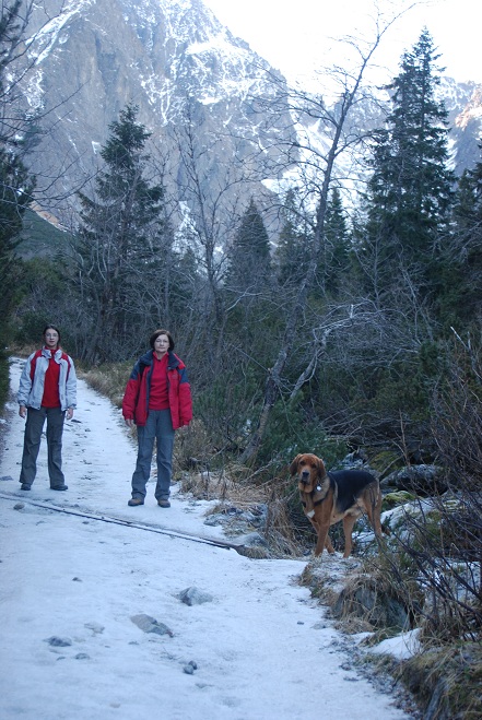 DSC_0995.JPG