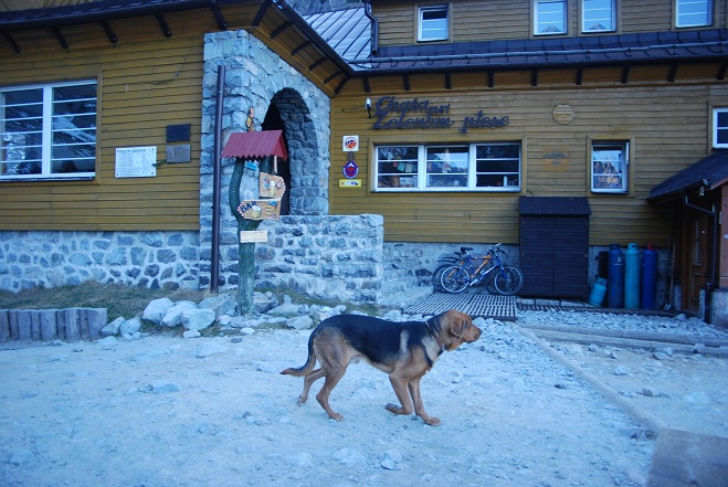 DSC_1029.JPG