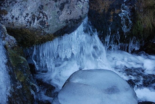 DSC_1040.JPG