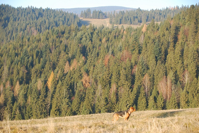 DSC_1094.JPG