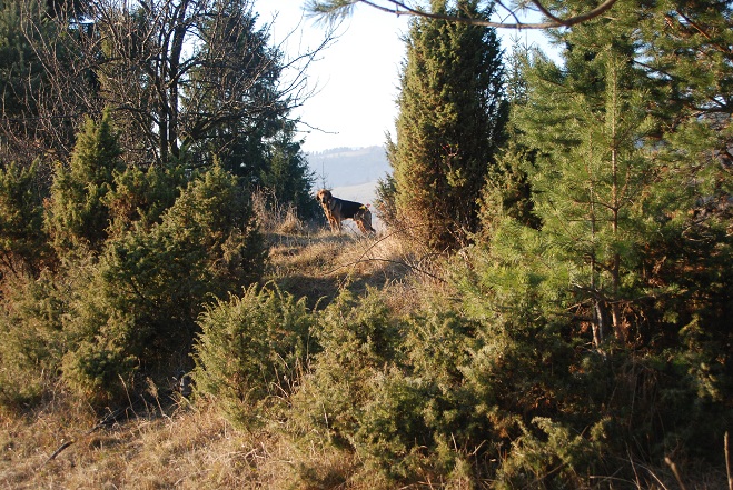 DSC_1109.JPG