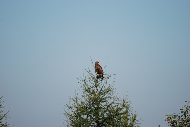 DSC_0844.JPG