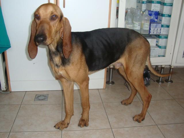 mixogar.jpg