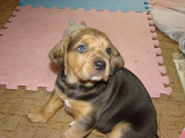 DSC06298.JPG