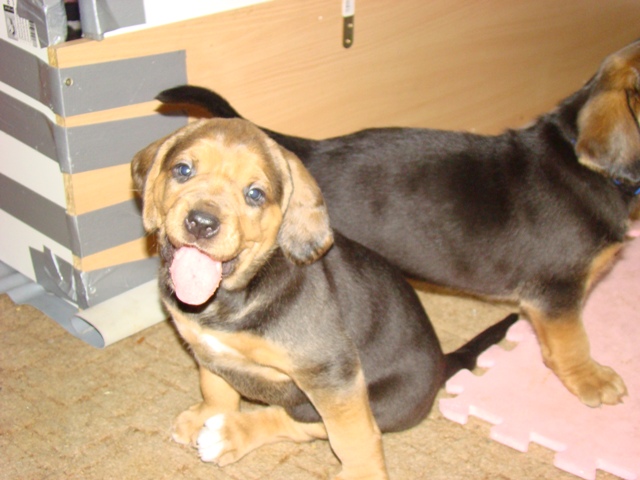 coś kombinują.