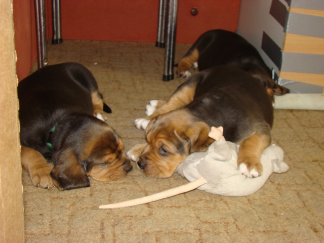 DSC06303.JPG