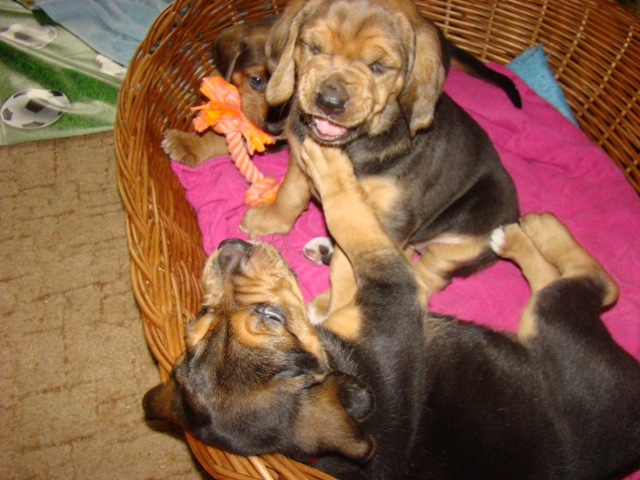 DSC06341.JPG