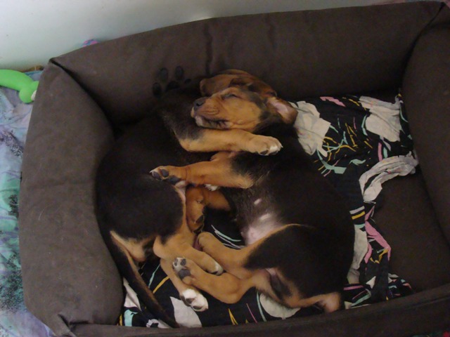 DSC06354.JPG