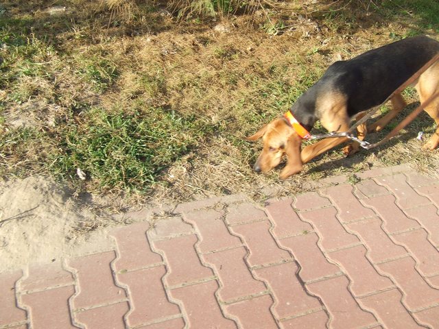 DSCF2062.JPG