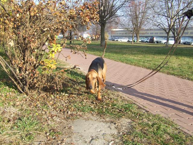 DSCF2063.JPG