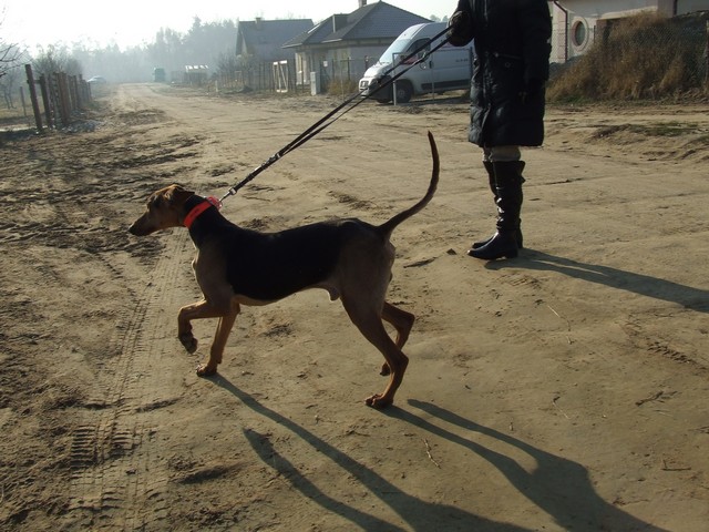 DSCF2064.JPG
