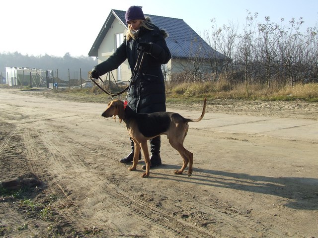 DSCF2065.JPG