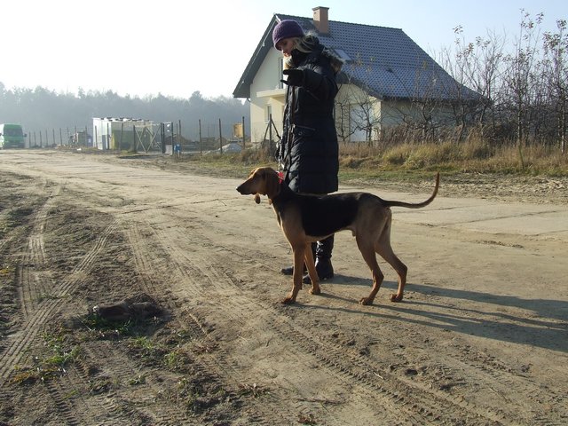 DSCF2066.JPG