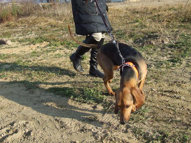 DSCF2069.JPG