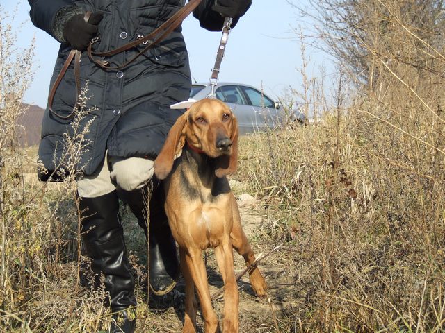 DSCF2070.JPG