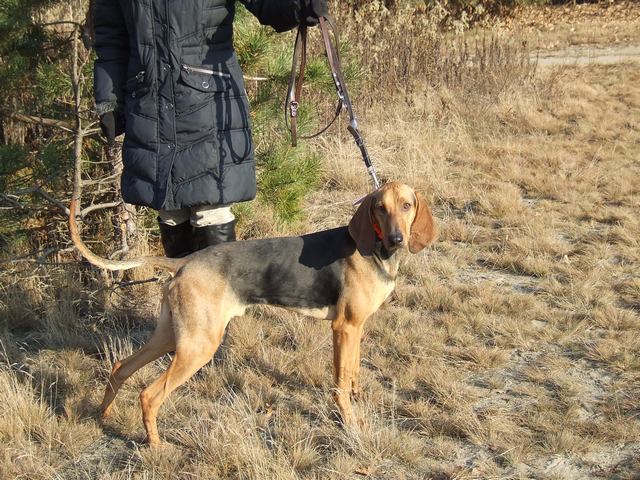 DSCF2071.JPG