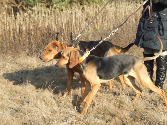 DSCF2073.JPG
