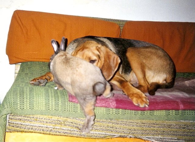 ScannedImage-22.jpg