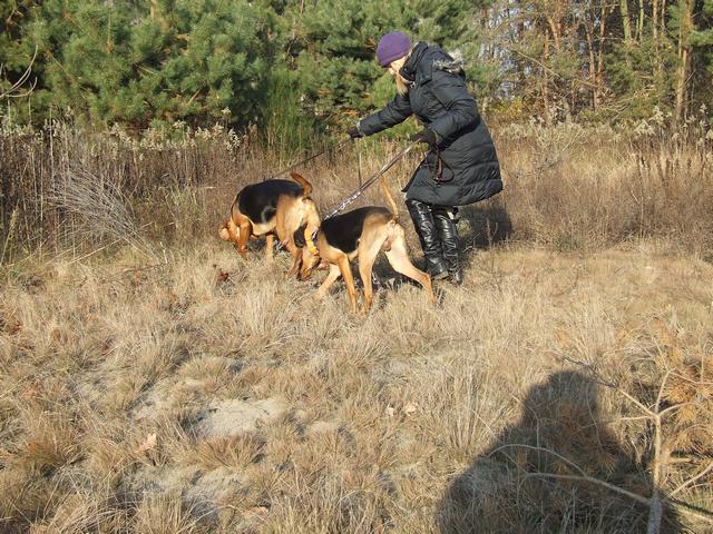 DSCF2079.JPG