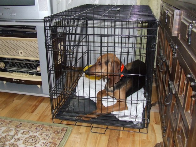 DSCF2080.JPG