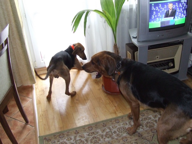 DSCF2081.JPG